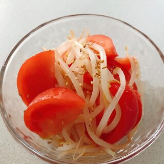 トマトともやしのサラダ